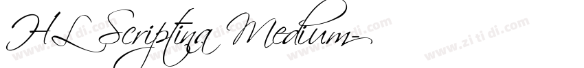HL Scriptina Medium字体转换